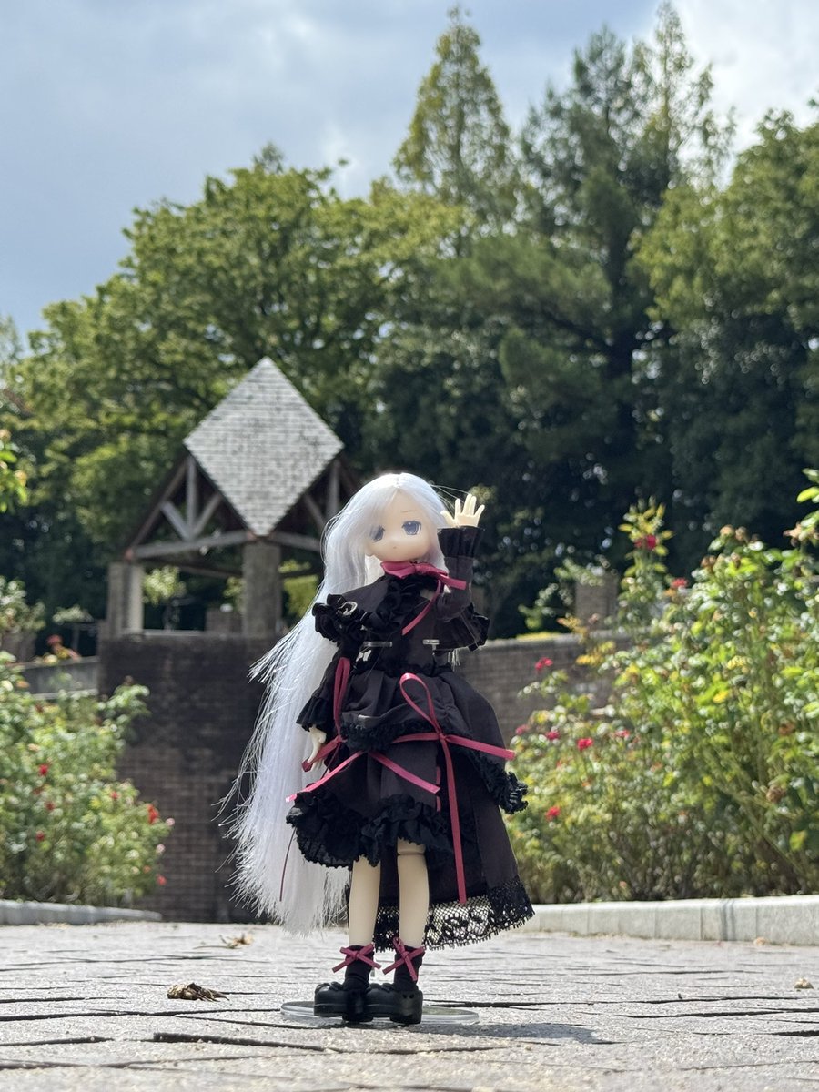 archive_fig64's tweet photo. 近所の公園で撮ってみたけど、めっちゃ難しいですね😅人目気にしながらやから、ポージングも上手く出来んままに撮りました😁
#BJD
#ドール写真
#ドールオーナーさんと繋がりたい https://t.co/uDfIU3Ugk7