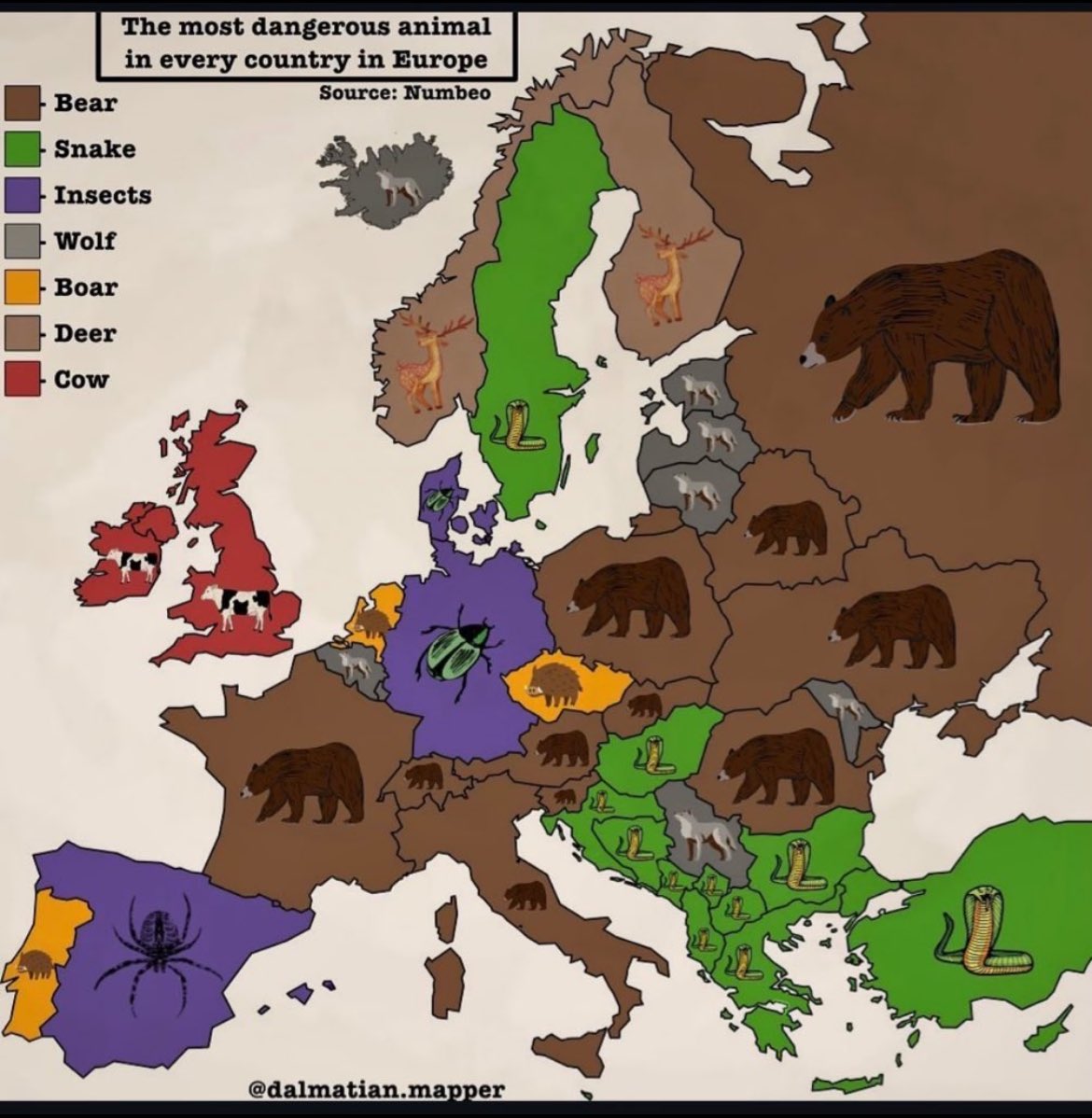 LibertyCappy's tweet photo. We got the Brits out there getting yeeted by cows 😭 https://t.co/ScuDzFWn8r