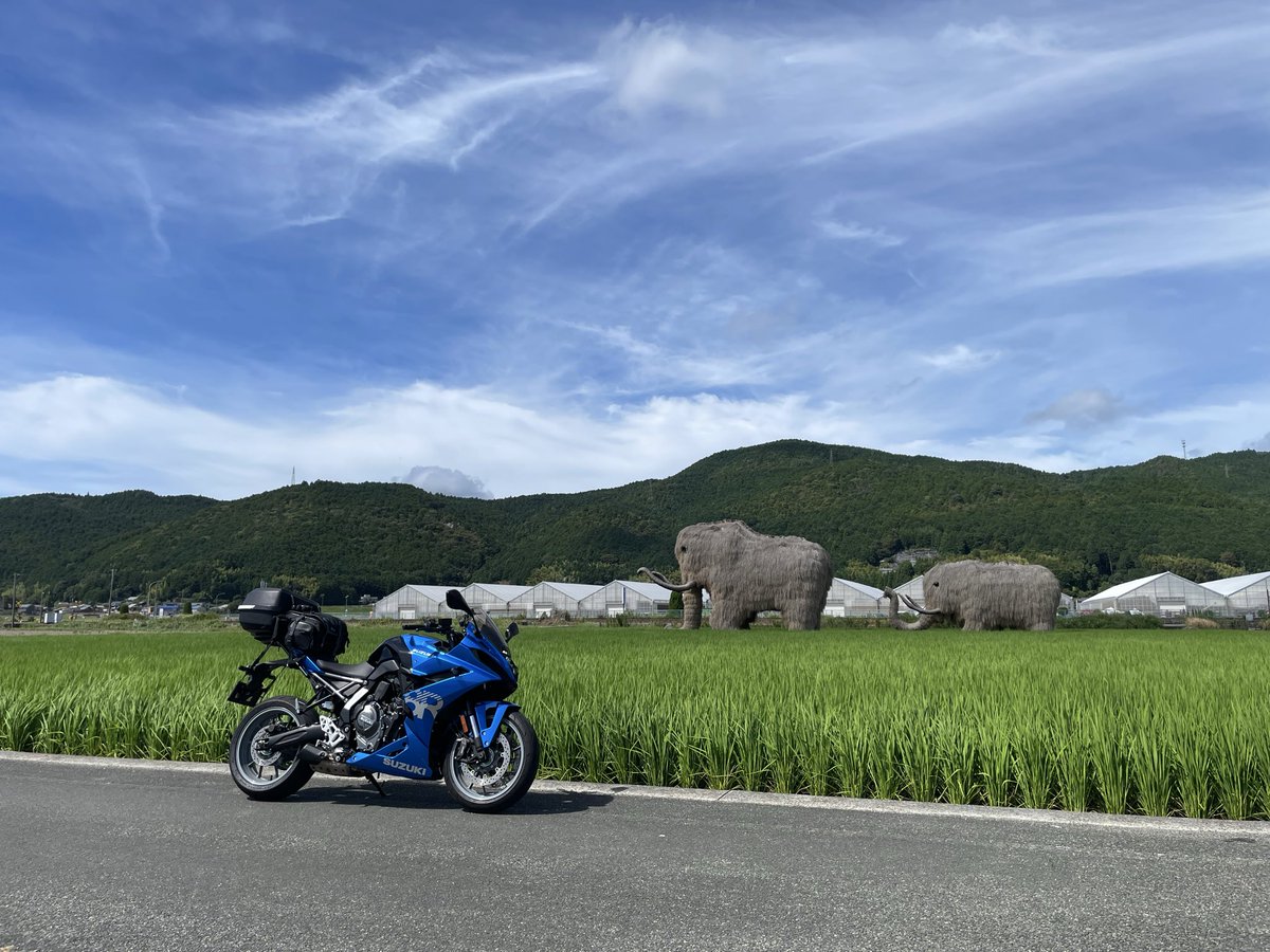 tohya_y's tweet photo. 駆け込みで小夏旅。 https://t.co/GbivVeNA8b