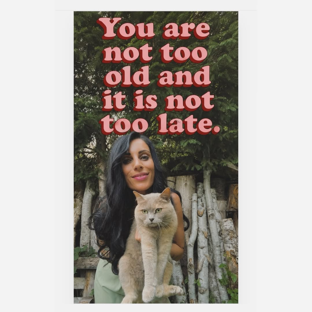 ConcettaGaugler's tweet photo. https://t.co/moWNIXiDK9