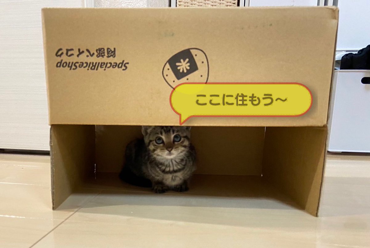 iewori's tweet photo. https://t.co/y6eFSzQ6c5