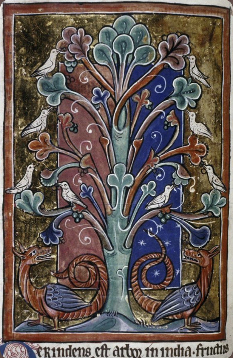 Plantagenet1455's tweet photo. The Peridexion tree, depicted in a 13th-century bestiary. Doves shelter beneath its branches while dragons lurk beyond its protective shadow—a medieval allegory of the Church as a refuge from temptation. https://t.co/peBqQv2KL8