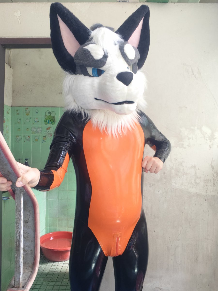 Maruthebaddog's tweet photo. Be proud of yourself πͺ π
Wolf don't stop shining π
Wolf is behind you π
#ShinySunday #SqueakySunday #LatexFur #RubberFur #Rubber #Latex #Forfunbangkok https://t.co/w0dB967a8u