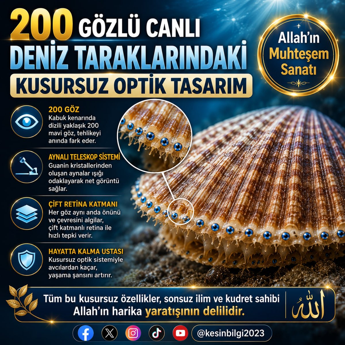 kesinbilgi2023's tweet photo. 200 Gözlü Canlı Deniz Taraklarındaki Kusursuz Optik Tasarım

Doğanın derinliklerine baktığımızda, insanoğlunun en ileri optik teknolojilerini dahi geride bırakan, görenleri hayrete düşüren muazzam bir mikro mühendislikle karşılaşırız. Deniz tabanında yaşayan ve dışarıdan bakıldığında sadece iki sert kabuktan ibaret görünen Deniz Tarakları (Pecten jacobaeus), kabuklarının kenarında sıra halinde dizilmiş, göz kamaştırıcı mavi renkte yaklaşık 200 adet göze sahiptir. Bu canlılar, daha ilk var oldukları andan itibaren suyun altında yaklaşan tehlikeleri fark etmek ve hayatta kalmak için kusursuz birer "optik alıcı" olarak tasarlanmışlardır.

Canlı Hücrelerden Yapılan Aynalı Teleskoplar

İnsan gözü ve diğer birçok canlının gözü, ışığı bir mercek (lens) yardımıyla kırarak retina üzerine düşürür. Ancak deniz taraklarının göz yapısı tamamen farklı ve benzersizdir. Bilim insanları mikroskop altında bu minik mavi gözleri incelediklerinde, arkalarında ışığı yansıtan mikroskobik aynalar keşfetmişlerdir. Bu sistem, astronomların uzayın derinliklerini görüntülemek için kullandığı devasa Schmid-Cassegrain teleskoplarının çalışma prensibiyle birebir aynıdır. Şuursuz bir deniz canlısının, insanoğlunun ancak 20. yüzyılda geliştirebildiği aynalı teleskop teknolojisini kendi gözlerinin içine, üstelik canlı hücrelerden inşa ederek yerleştirmesi kesinlikle kör tesadüflerin veya cansız maddelerin bir araya gelerek oluşturabileceği bir şey değildir.

Guanin Kristallerinden Kusursuz Odaklama

Deniz tarağının gözünün arkasındaki bu ayna, kare şeklindeki milyonlarca guanin kristaliyle kaplanmıştır. Bu kristaller, ışığı mükemmel bir şekilde yansıtacak biçimde, adeta mozaik bir duvar gibi yan yana dizilmiştir. Üstelik bu aynanın kavisi o kadar hassastır ki, suyun altında kırılan ışığı retinanın üzerine milimetrik olarak odaklar. Deniz tarağı, bu 200 aynalı gözü sayesinde etrafındaki zayıf ışık değişimlerini ve yaklaşan avcıların (örneğin bir deniz yıldızının) hareketlerini anında sezer.

Çift Katmanlı Retina ile Aynı Anda İki Farklı Görüntü

Bu mikroskobik teleskopların bir diğer mucizesi ise içlerinde iki ayrı retina katmanı barındırmasıdır. Üstteki katman canlının tam önündeki hareketleri net bir şekilde algılarken, alttaki katman ise çevre kafesindeki (periferik) karanlık alanları tarar. Yani deniz tarağı, 200 gözünün her birinden aynı anda iki farklı veri alır ve beyni olmamasına rağmen, sinir ağları sayesinde bu verileri milisaniyeler içinde işleyerek anında kaçış tepkisi verir.

Açıkça görüldüğü üzere; milimetrik bir alana sığdırılmış guanin kristalleri, aynalı teleskop yazılımı ve çift katmanlı retina sistemi tek bir anda, eksiksiz olarak var olmak zorundadır. Bu muazzam optik radar teknolojisi, her canlıyı ihtiyacı olan sistemlerle eksiksiz donatan, göklerin ve yerin tek hakimi olan Yüce Allah’ın sonsuz ilmini ve harika yaratılış sanatını bizlere kanıtlamaktadır.