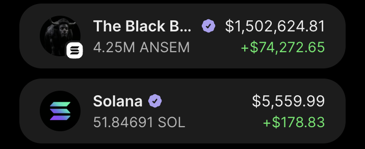meilinxbt's tweet photo. honey, can we send this much higher? @blknoiz06

i always knew $ansem would recover, and there's still so much more to come.

$1b is nothing for a memecoin of this magnitude when one of the biggest names in ct is backing it.

a lot of people told me to sell, but it never even crossed my mind.

we are all $ansem.