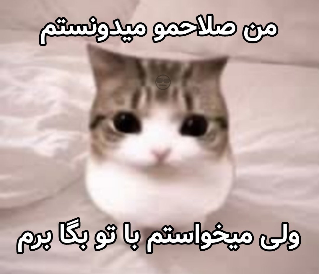 379Talks's tweet photo. https://t.co/vFSZGErALw
