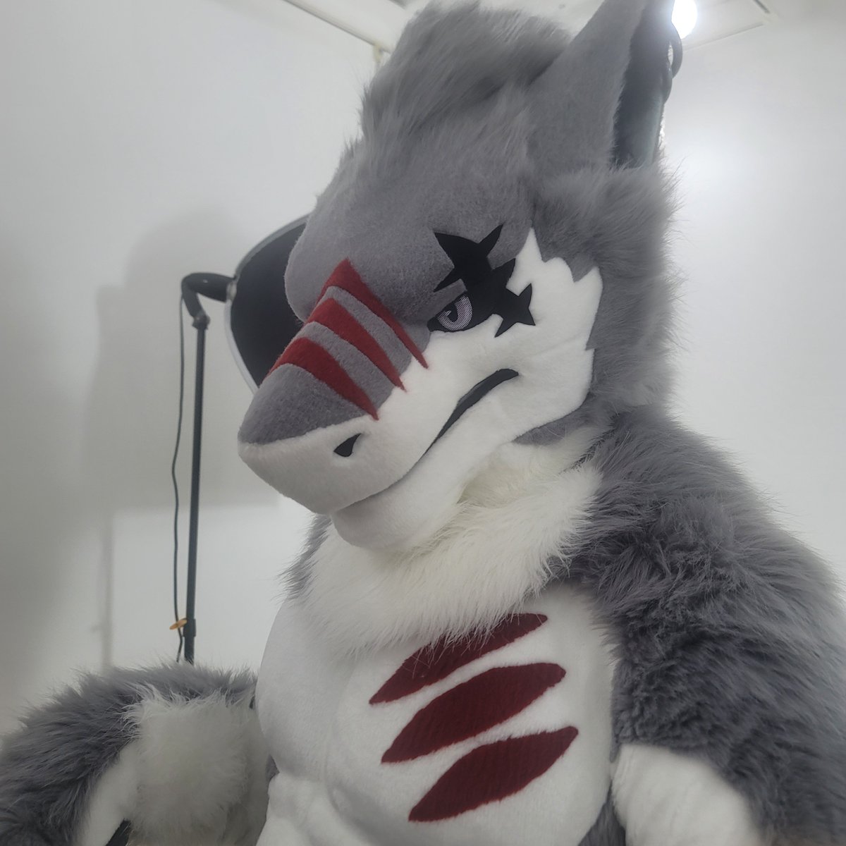 Bukgeuki's tweet photo. @macro_sergal 스튜디오에서 포즈를 취해주신 https://t.co/4Q4qDzUMH0