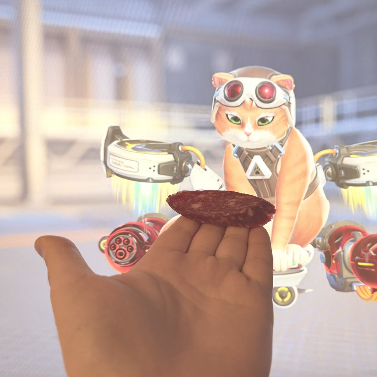 tlentwit's tweet photo. ✨Кормлю уличную кошку✨ #overwatch https://t.co/GkiFKG7vFp