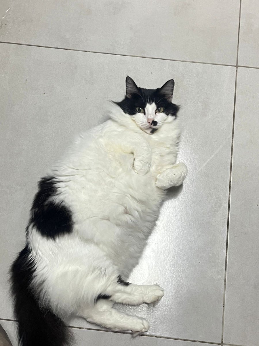 byeoseok's tweet photo. @nicorwbin que nem a sua no caso KKKKKKKKK em compensação a frajolinha comeu toda comida dos tres KKKKKKKK https://t.co/ppGjIquSw4