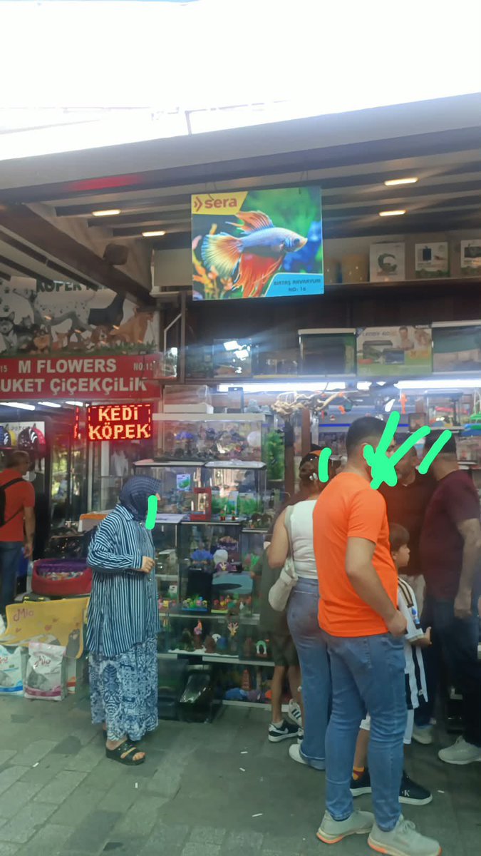 efaltayyy's tweet photo. İstamnul Fatih Eminönü'nde Ticarete konu edilen  hayvanların korunması ve işletme hakkında gerekli idari para cezasının uygulanması için yetkilileri göreve davet ediyorum.@TCTarim @EmniyetGM @dkmp @fatihbelediye @TC_istanbul https://t.co/pi7NKQqVi9