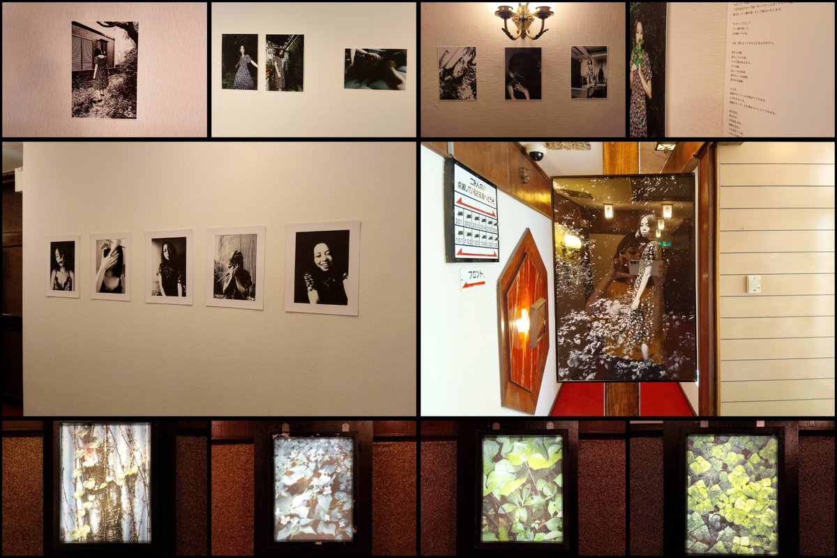 from_you_0817's tweet photo. 忙しい醍醐に代わって展示風景を記録しました。Googlephotoに74枚入っていて、更にそこから増えていたので凡そ80枚でしょうか。「やる」と決めてから半月に満たない準備日数だったと思います。ターポリン以外は写真本含め全て手作業です。足を運んでくださった皆様ありがとうございました。 https://t.co/bbLi9VJfF3