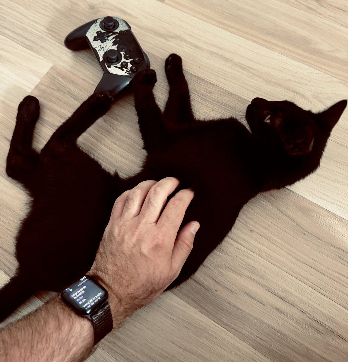 Hikeneezy's tweet photo. Bon, j’ai finalement craqué avant la hausse de prix (et aussi pour le futur Xenoblade qui arrive l’année prochaine 😅).

C’est sympathique, même si, on ne remarque presque aucune différence avec la première pendant l’installation.

#NintendoSwitch2 https://t.co/lRBk1eI27O