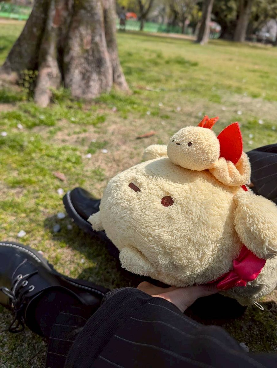 himatsuri124369's tweet photo. ちなみに奥さんも、えびわんたんの写真撮りすぎて職場の人にマジもんのペットと勘違いされてます笑 https://t.co/wlqgY2qnmJ
