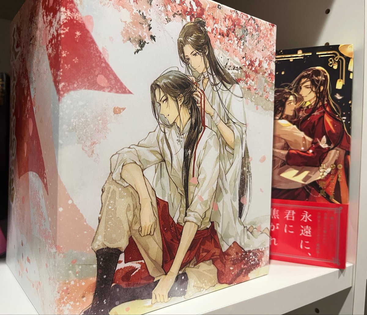 jononionoj's tweet photo. 全巻収納ボックスめちゃ良き🥰幸せそうなあなたたちを見られて、私も幸せです🥰
透明カバーつけてても入る余裕感、ありがとうございます🙏

読み終わってからみる表紙、ほんとにもう言葉失うよね…最高すぎる

#天官賜福 
#TGCF 
#小説天官賜福_完結 https://t.co/eYS7WZedMu