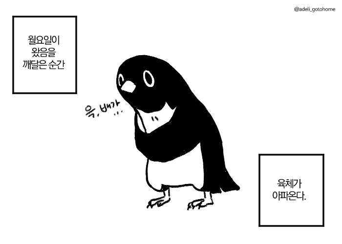 adeli_gotohome's tweet photo. https://t.co/h8kt5ueVCo