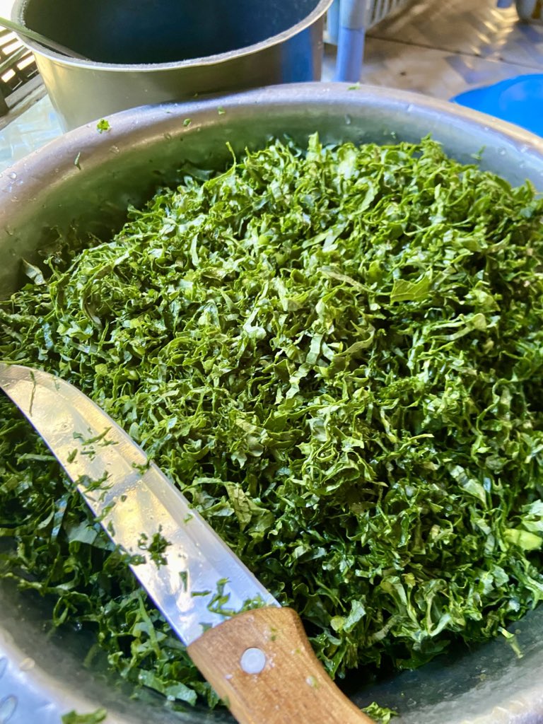 afrofinest254's tweet photo. Leo sapa Im eating my favorite type of kale  in Kenya we call it sukuma matumbo alafu Sasa na kuku kienyeji alafu niteremshe na chilled mursik, summer body ntatoa wapi😆😭

Wacha nishibe ju wachawi wako stand by wanangoja fall ya Manchester United but guess what have a field day https://t.co/EQfWTny5Ks