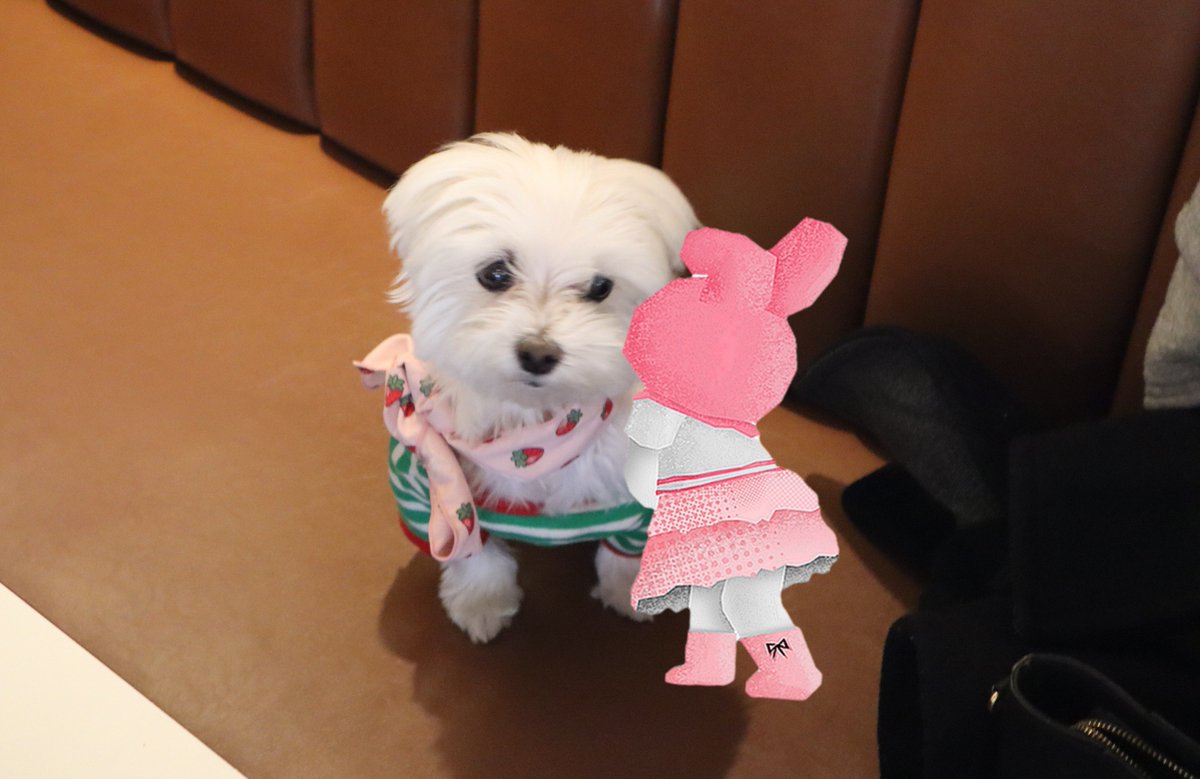 akbkck28's tweet photo. 개웃겨 https://t.co/nadf4xbxrF