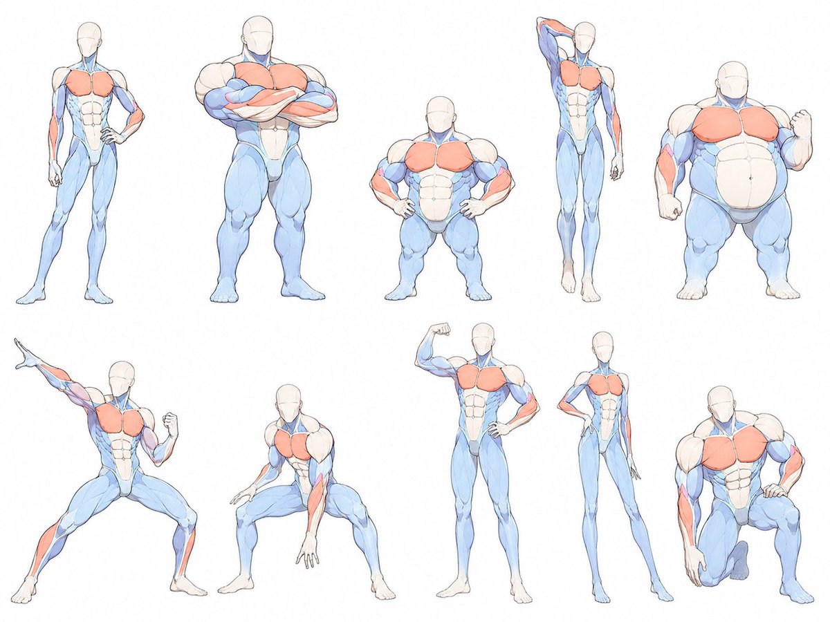oldmanlux's tweet photo. Same anatomy, completely different silhouettes https://t.co/9KIgeUFUAV