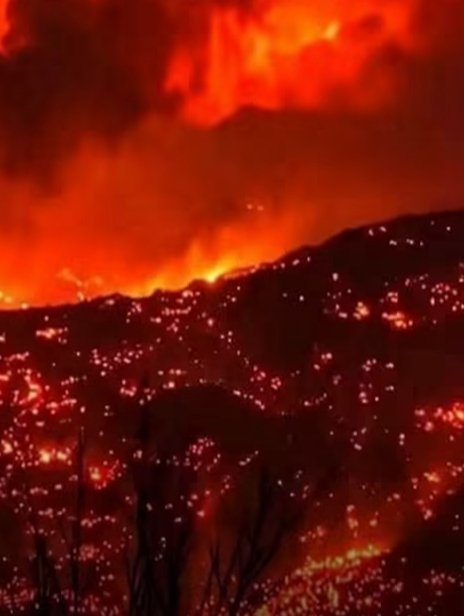 Abdullah_Om3r03's tweet photo. The “One Million Prayers” campaign for Algeria has just begun! 🤲❤️

In these difficult circumstances, let us all come together in prayer. May God extinguish the fires, protect Algeria and its people, grant safety to those affected, and give strength and steadfastness to the firefighters and volunteers. 🤲🇩🇿

O Allah, extinguish the fires, protect Algeria and its people, and grant them safety and well-being. O Lord of the Worlds. 🤲❤️

📢 Everyone, please join us in prayer now and share this post so that our prayers can reach one million people.

🌍 From which country are you praying with us for Algeria? Write your country in the comments. 🇩🇿❤️