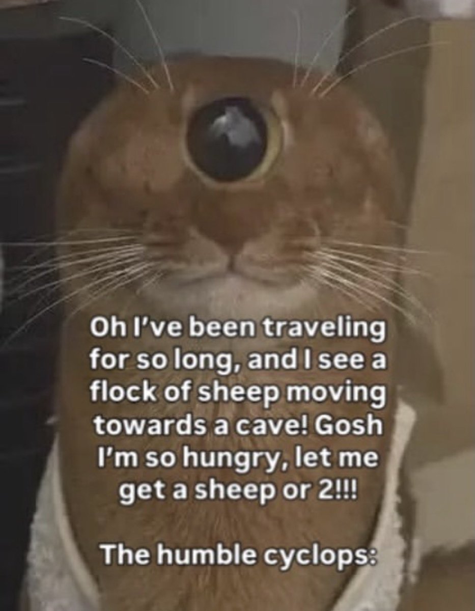 literallymecats's tweet photo. https://t.co/RLBZxrErEt