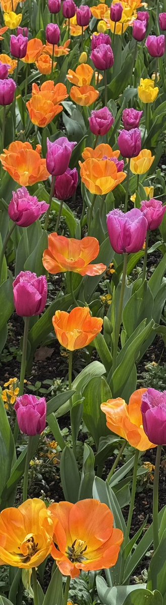 PattisonWendy's tweet photo. @PanoPhotos https://t.co/qUNmBnrFjz