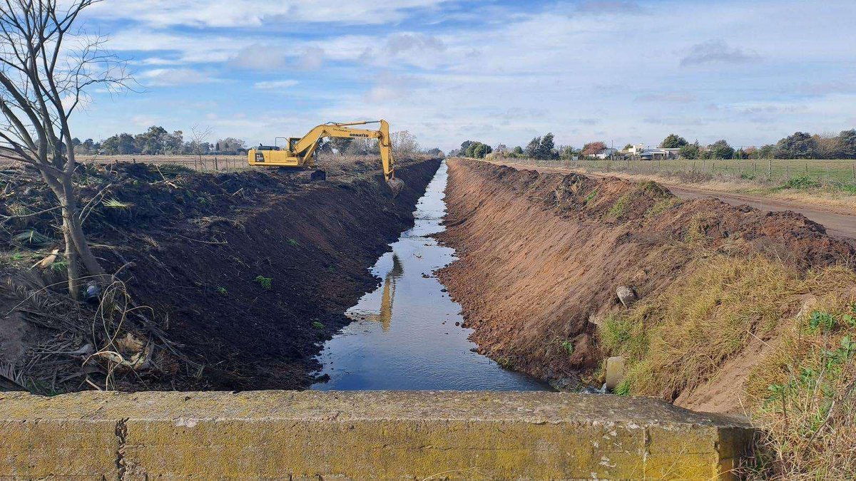 info135web tweet picture