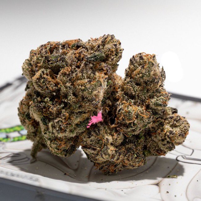 LiftedFlav788's tweet photo. Premium quality Exotic Weed Candy kush Fresh Zaza. Serving in Braunschweig, Oldenburg, Osnabrück, Wolfsburg, Göttingen, Salzgitter
Mecklenburg-Vorpommern: Schwerin (capital), Rostock, Neubrandenburg, Stralsund, Greifswald
North Rhine-Westphalia (Nordrhein-Westfalen): https://t.co/NIiOJ9nKhA