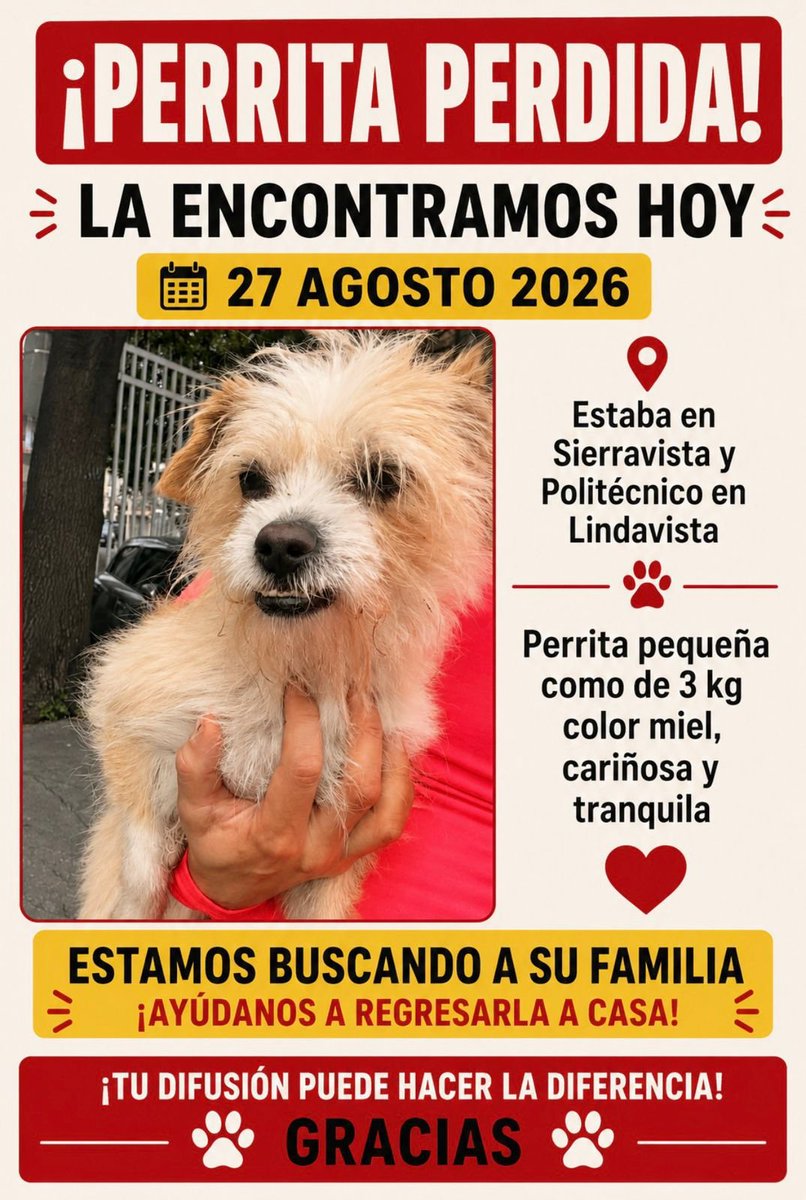 gabo_haro's tweet photo. https://t.co/drbVXf1VKy