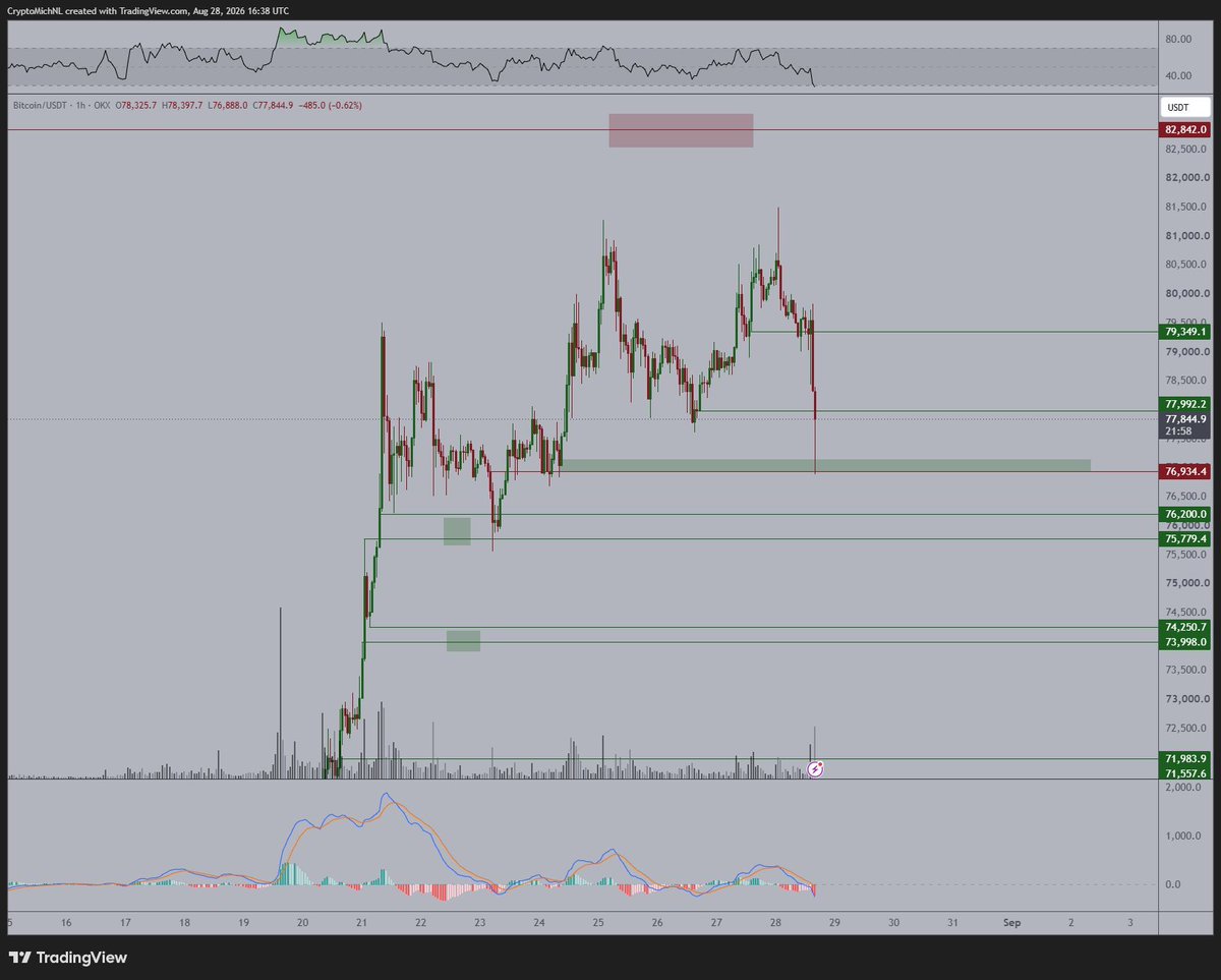 TheCryptoMichML tweet picture