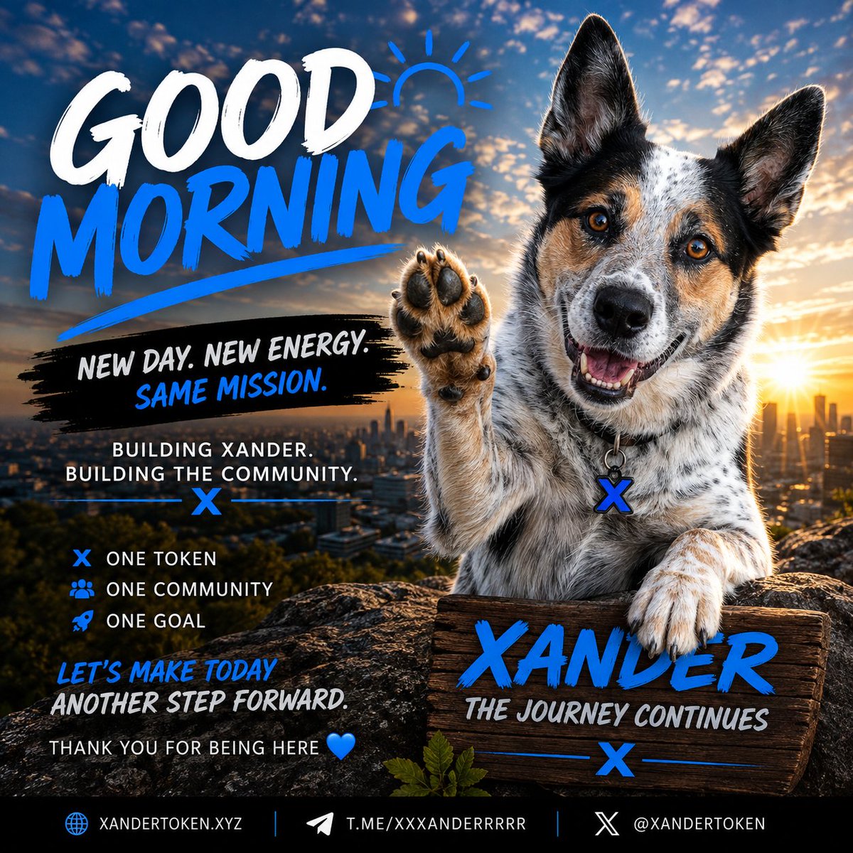 NestorStep52686's tweet photo. ☀️ GOOD MORNING, XANDER COMMUNITY. 🐾

New day. New energy. Same mission.

We’re not chasing shortcuts.
We’re building this one day at a time.

🐾 One token
🤝 One community
🚀 One goal

The journey continues.

Who’s here for another day of building XANDER? 💙

#XANDER #MemeCoin #Crypto #Solana