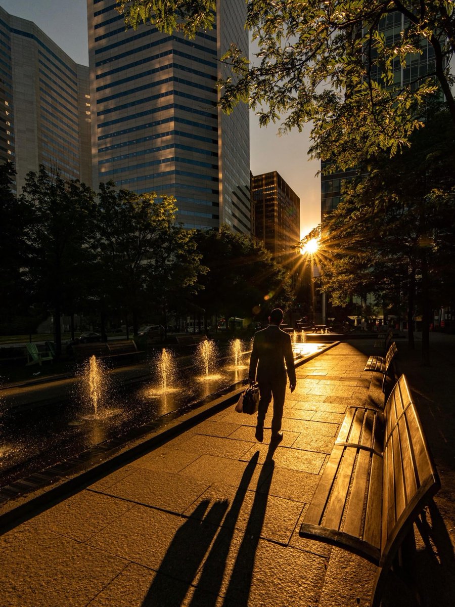 Montreal's tweet photo. Happy Monday — from Montréal! ☀️

📷 arcpixel #montreal https://t.co/m6TGvUCevk