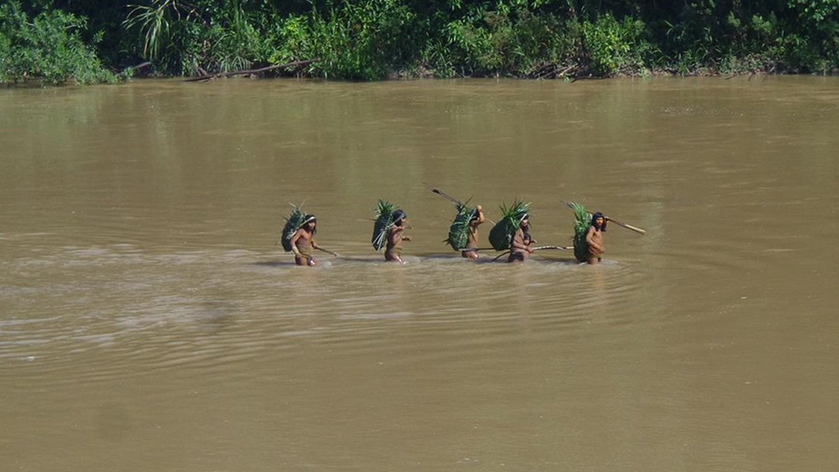EarthRightsIntl's tweet photo. The Peruvian government will answer to the @CorteIDH for violating the rights of an Indigenous group living in voluntary isolation. The Mashco Piro case will be heard on Sept 24-25, in Uruguay, following a complaint filed by @FENAMAD1 &amp; #EarthRights. 🔗 https://t.co/hvLuVfzwOy https://t.co/3pTPCo1hhk