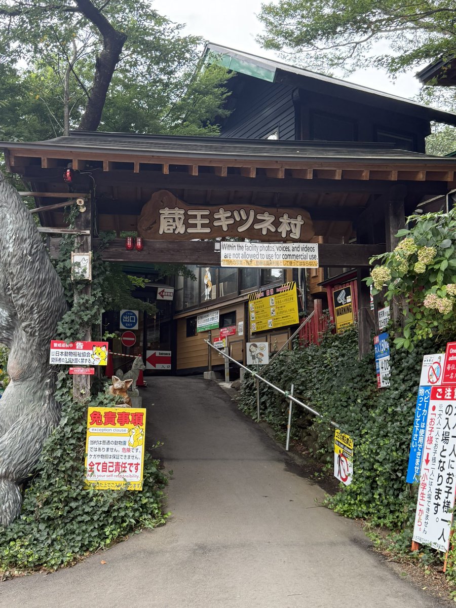 ibaraki73's tweet photo. 蔵王キツネ村に行ってきたけど夏毛のキツネ軍団が可愛かった🦊
今度は冬毛のキツネも見てみたいな🤔 https://t.co/wQbBrwD32y