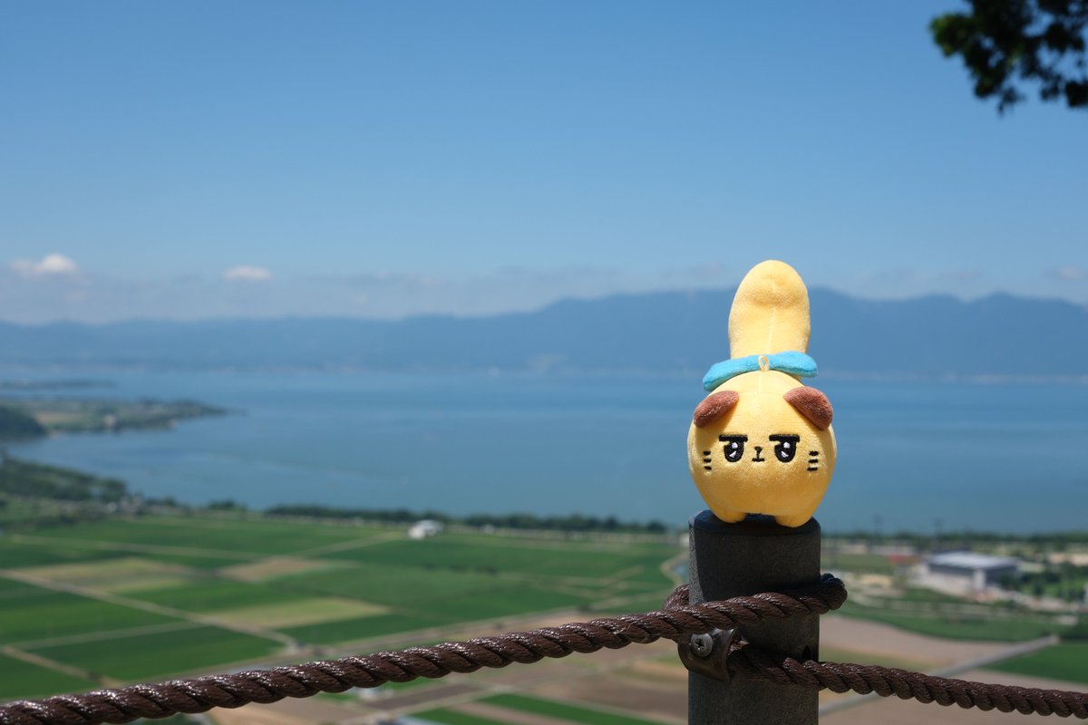 tatsuta1154's tweet photo. 夏の思い出02 https://t.co/HHghFcsfQp