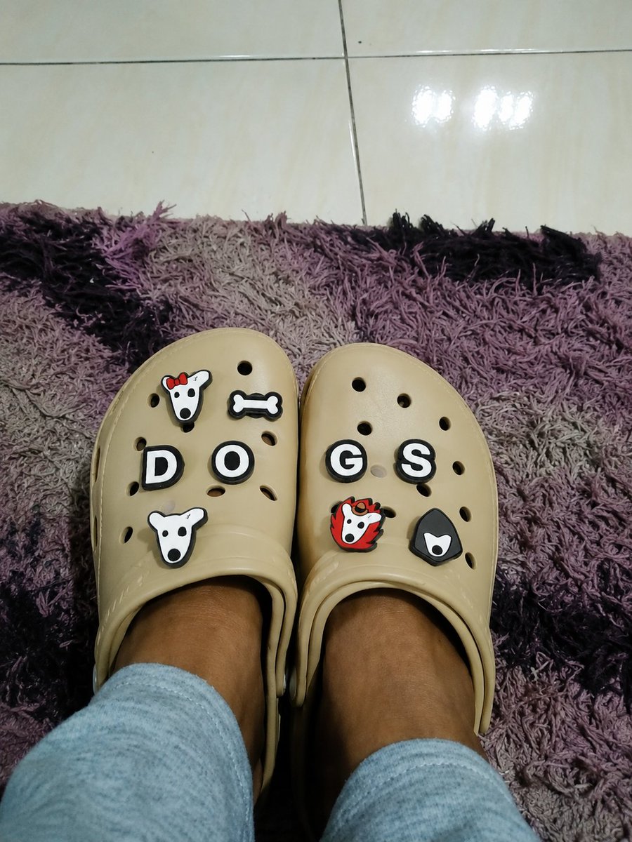 AhmedmusRa's tweet photo. Buying dogs jibbitz to my old Crocs , making it like new again πβοΈ @realDogsHouse
#DOGSWearInTheWild https://t.co/Dq50mZLd8F