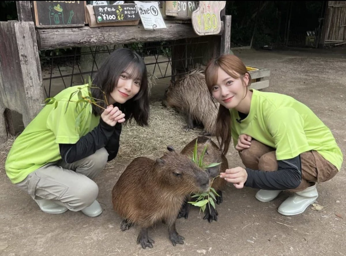 sakasika46's tweet photo. 終始画面上がかわいくて癒された〜
#hikarublog https://t.co/QccTmTUtfY