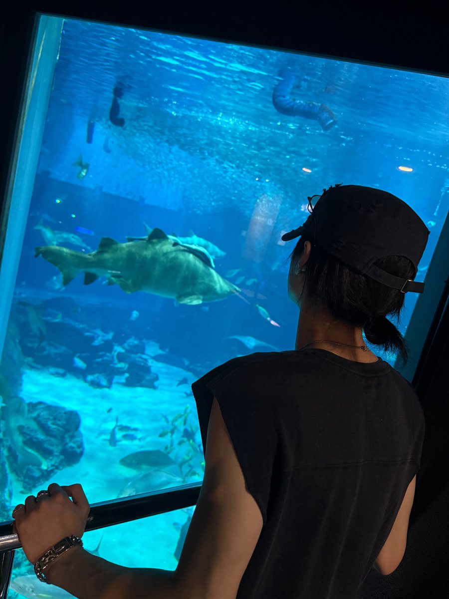 my_xummer's tweet photo. 260828 위버스 포스트 #이한 

🐠🖤 https://t.co/wkNXH6jMwL