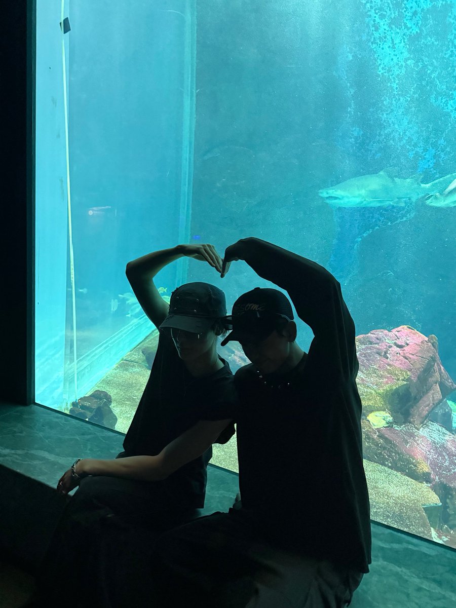 mjhhh_bnd's tweet photo. やっぱりバディはジェヒョン🐠🐶
#leehan #jaehyun #boynextdoor https://t.co/hKhzstwiyS