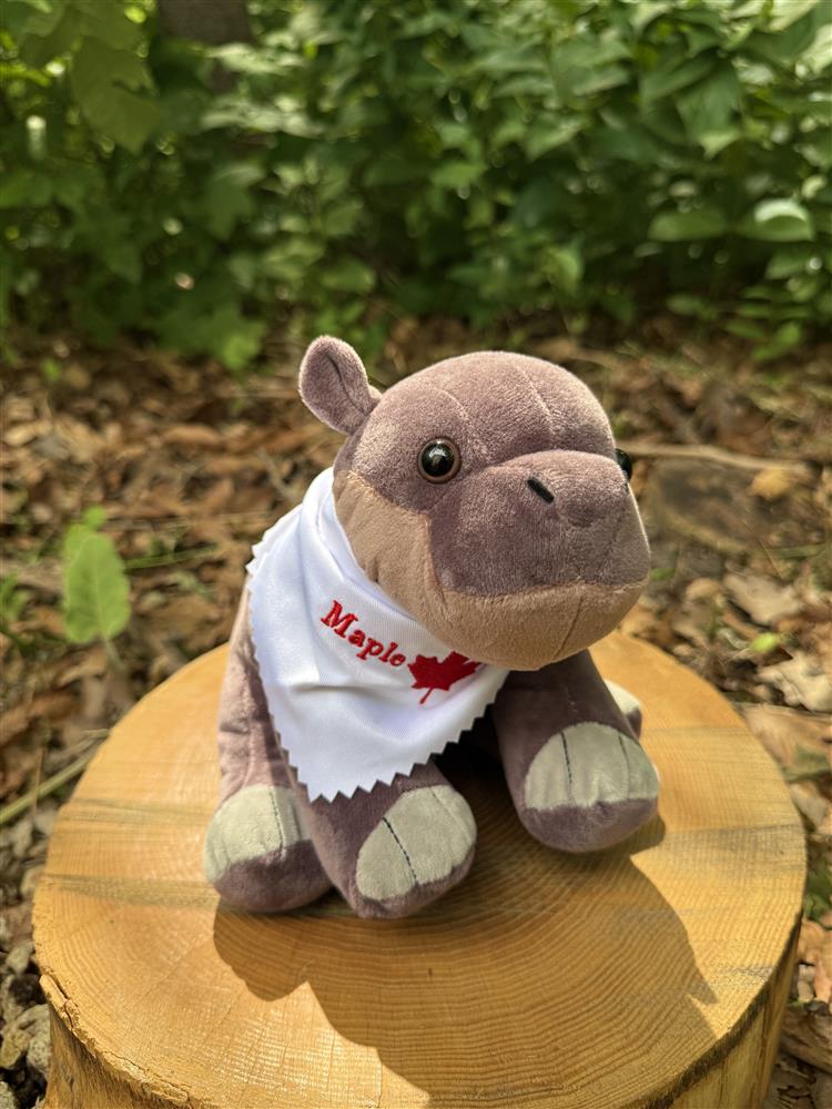 Bprintingg's tweet photo. @TheTorontoZoo give me millions of maple plushies solana:DLhzqAWwE2YkPLdYvvWNMZ71vxZJQD2FByMfWFHppump https://t.co/5gJHTo51C3