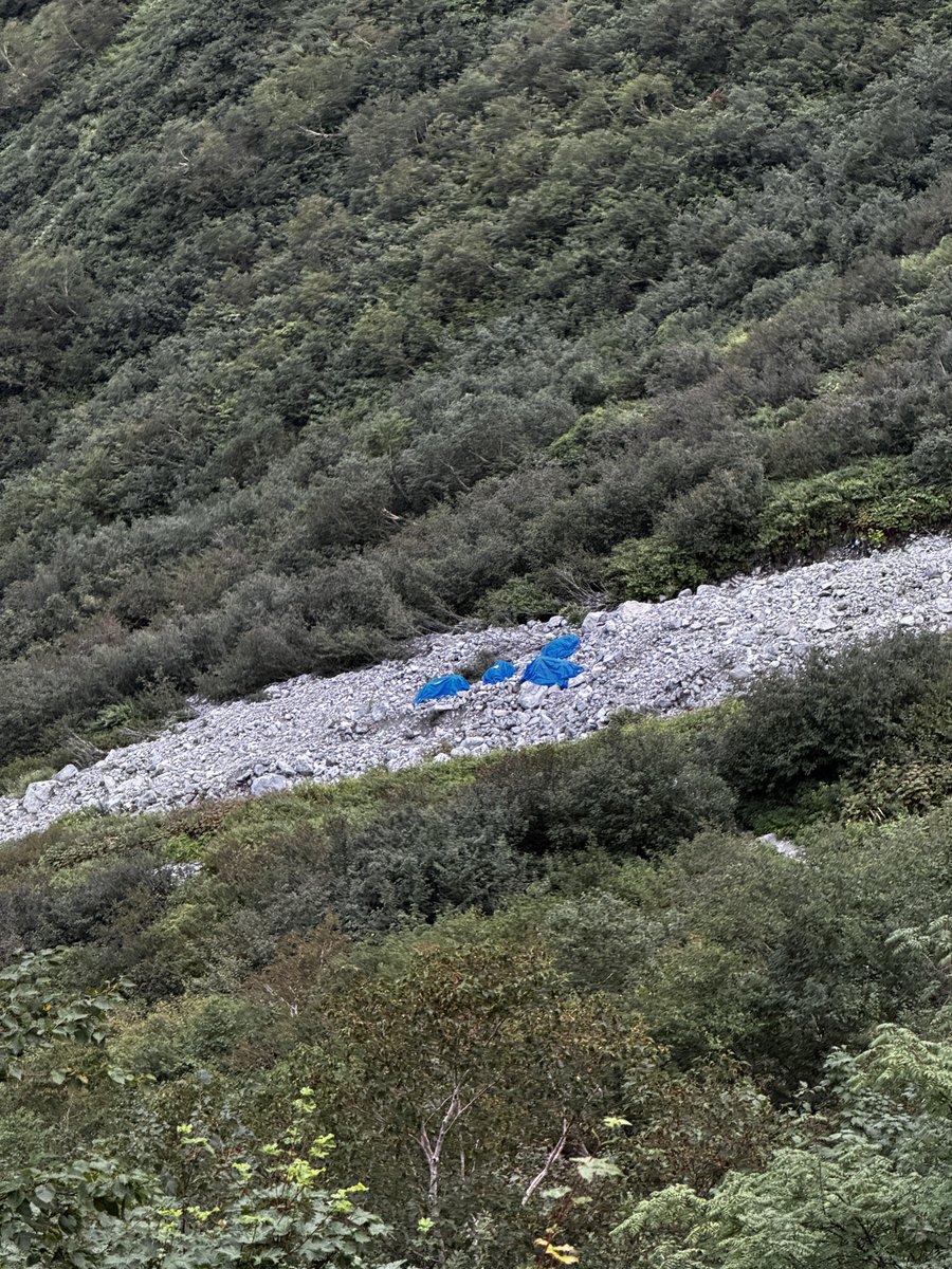 nekogaohirune's tweet photo. 本日も1.5トン石集めて、スリング２本と荷物で30キロ背負ってシシウドが原から鏡平へ。お陰でビールが美味しくのめました😁

#北アルプス　#登山　#山登り　#登山道整備 https://t.co/LjPHzBUqYK