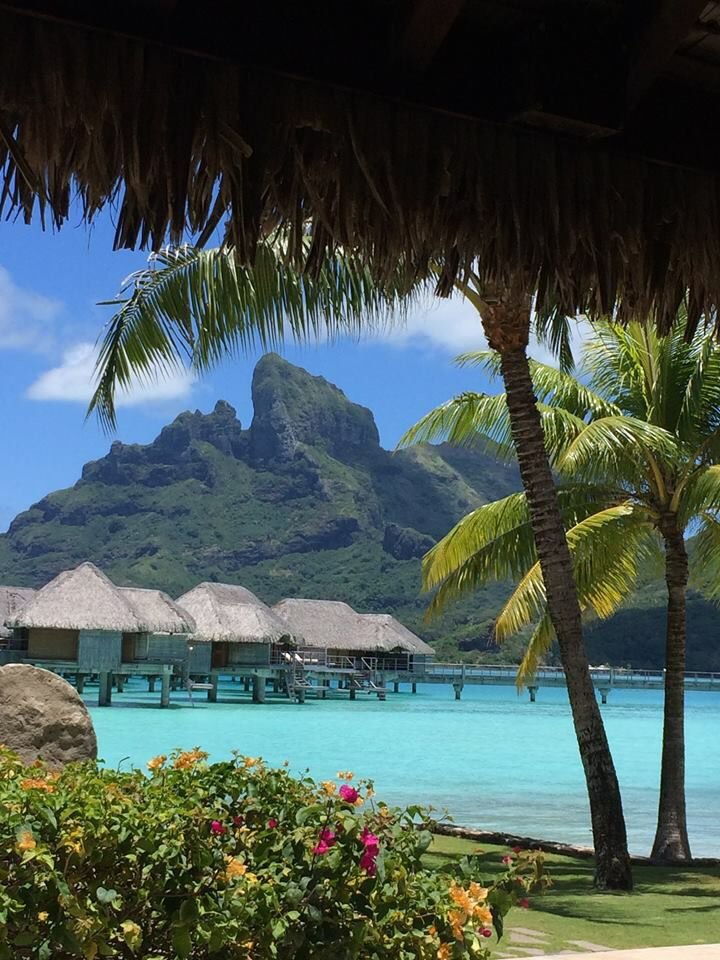 reminiscinbby's tweet photo. Bora Bora, French Polynesia https://t.co/guFpohyWA9
