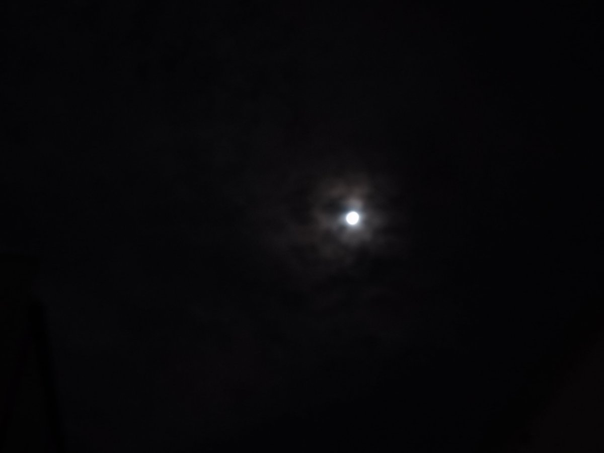 RIPMid_Night's tweet photo. 今夜の月は綺麗 https://t.co/jDf5mLtFau