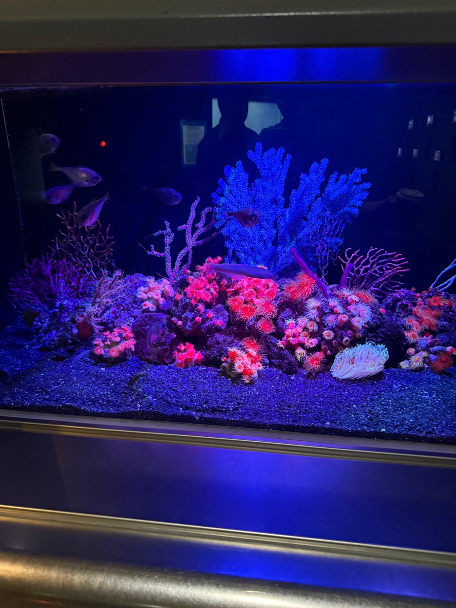 bndwiki's tweet photo. 🌟 [#WEVERSE UPDATE] 260828 #LEEHAN

🐠🖤 https://t.co/p0VCv8OWCh