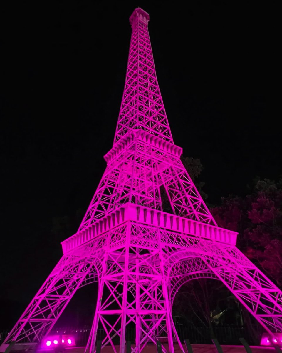 SherrysDrunk's tweet photo. Y’all my hometown made the Eiffel Tower pink for Dolly - Paris, TN https://t.co/A0UpdzSgUT