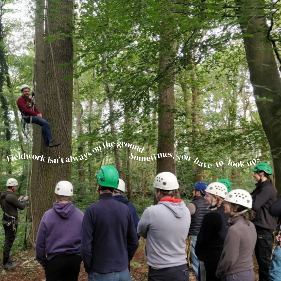 IAVS5's tweet photo. Today, we’re celebrating the people who make field research happen — the early starts, muddy boots, careful observations, unexpected discoveries and, of course, reaching new heights! 🔎🌱
#FieldworkFriday #IAVS #VegetationScience #Ecology #Fieldwork #PlantEcology #Biodiversity #Ecosystems #TreeClimbing #Epiphytes