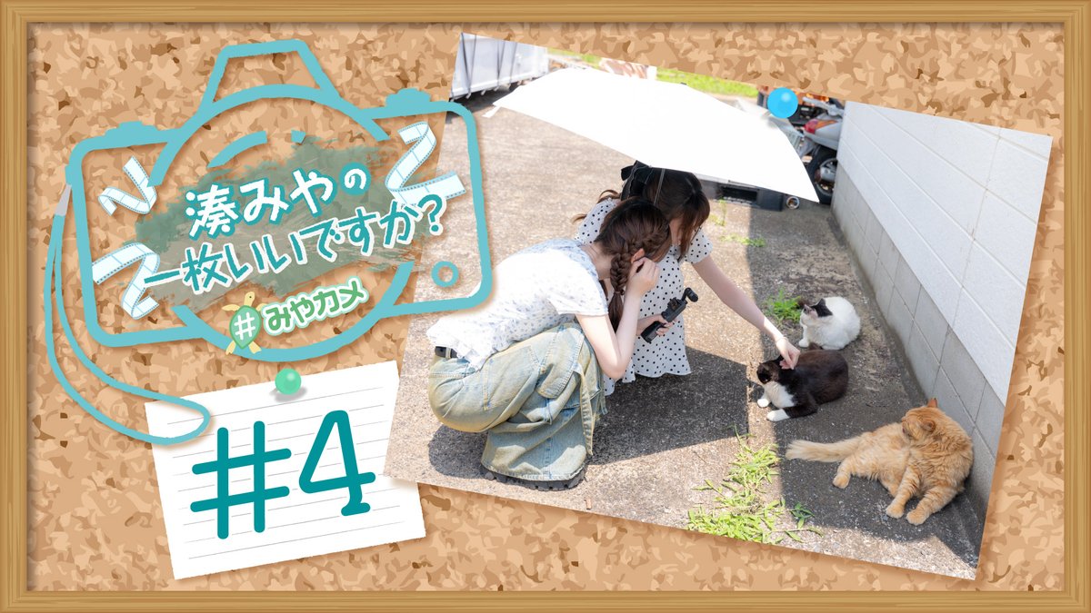 3710miyacame's tweet photo. 只今より『湊みやの一枚いいですか？』#4 ＜福岡編＞【ゲスト：川村玲奈】の配信を開始いたします。
※今回の配信はニコニコch会員限定公開となります

今回は相島での猫との出会いを特別なアングルでお送りします！

ニコニコ https://t.co/fJws2wQhjG
#みやカメ https://t.co/WTiOA0MNj7