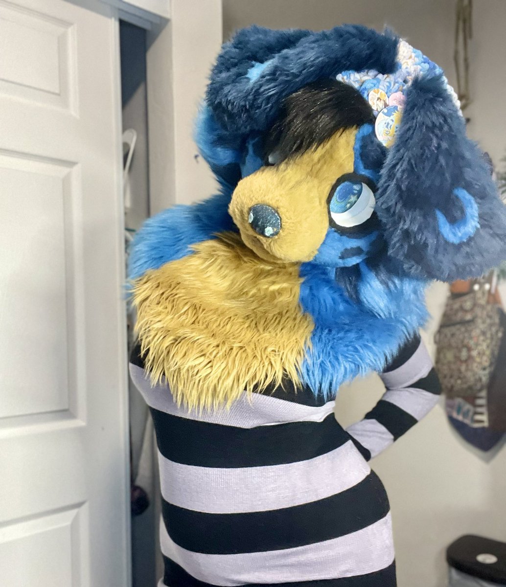 SlutLunaa's tweet photo. Feeling cute, might delete never!🐾💙 https://t.co/s6N0zeK5fV