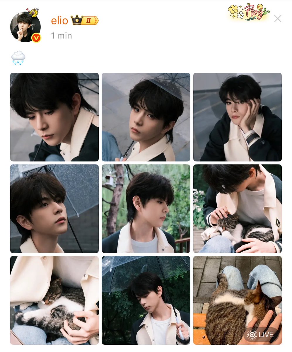 ronjonayli's tweet photo. สวย ใจดี ยิ้มหวาน รักสัตว์ แฟนหล่อ ครบเครื่อง https://t.co/CztntlryKi