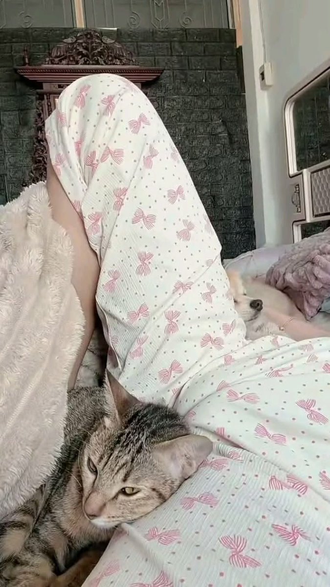 RyanJuniorRJR's tweet photo. I’m pussy cat! 🐱 https://t.co/5M2qiGdStK