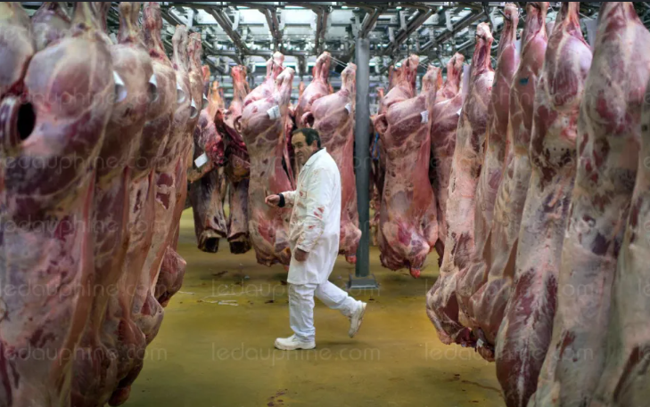 F_Desouche's tweet photo. Mauvais traitements à l'abattoir de Perpignan : la préfecture des Pyrénées-Orientales suspend l'un des agréments "d'abattage rituel sans étourdissement"
https://t.co/a0sZkMHpC7 https://t.co/uWQ2Hcpx6Z